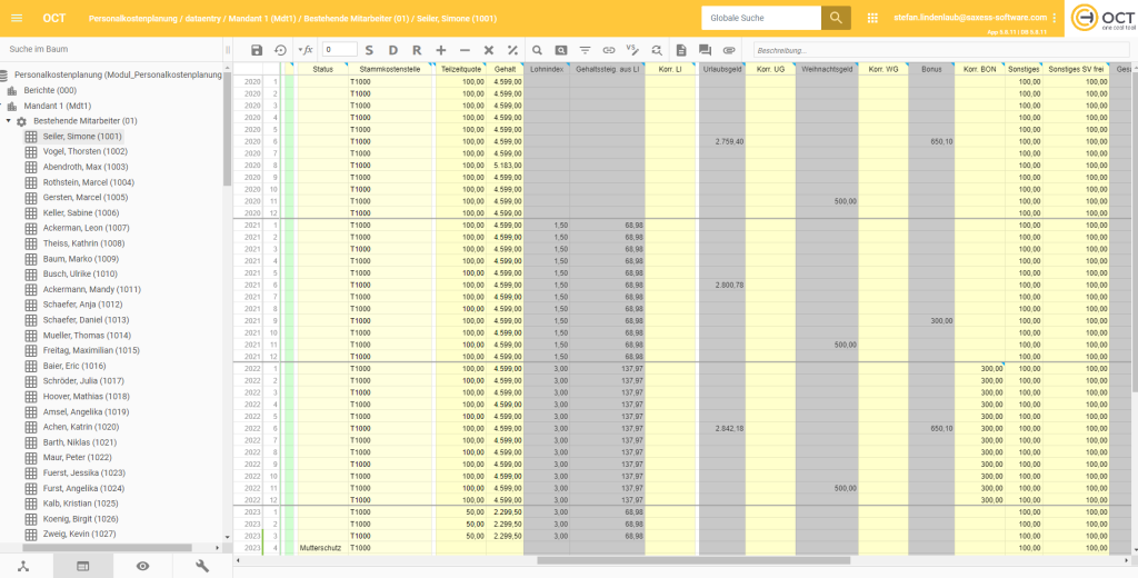 Personalkostenplanung mit OCT: Eingabe der Plandaten pro Mitarbeiter und Lohnart
