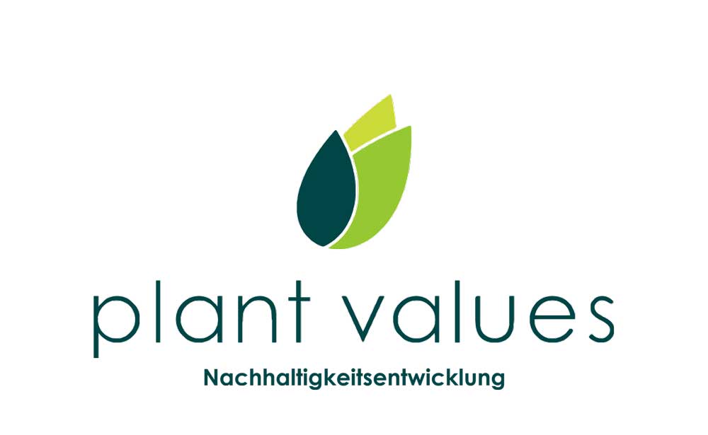 Saxess und Plant Values starten Partnerschaft für gemeinsames Tool zur Nachhaltigkeitsberichterstattung – Pilotkunden gesucht!